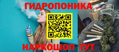 ECSTASY Свободный