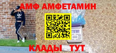 крисы Славгород