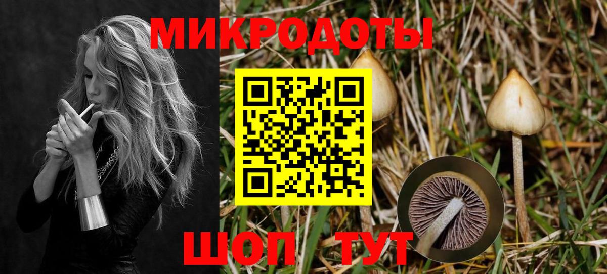 Галлюциногенные грибы MAGIC MUSHROOMS  Псилоцибиновые грибы Psilocybe  что такое наркотик  Омск  Вход с VPN 